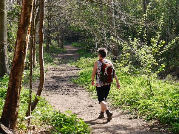 1066 Country Walk