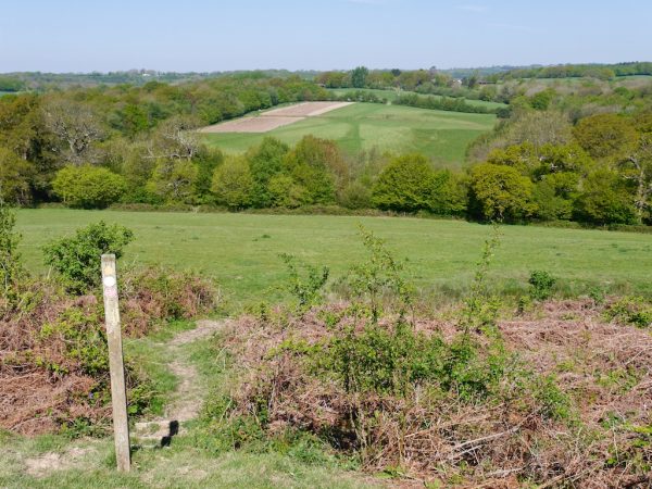 1066 Country Walk
