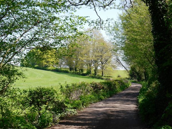 1066 Country Walk