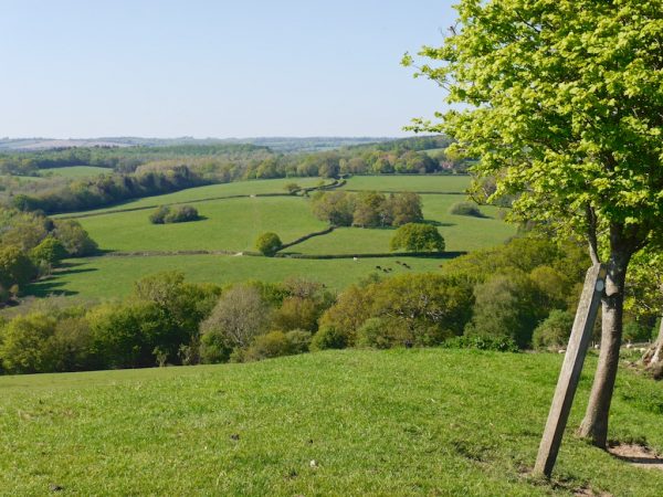 1066 Country Walk