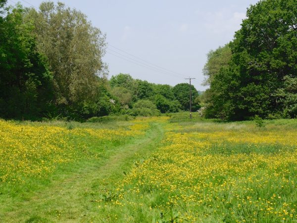 1066 country walk