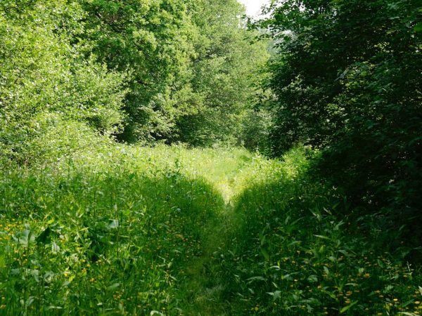 1066 country walk
