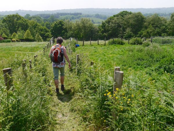1066 country walk