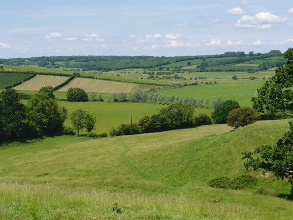 1066 country walk