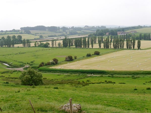 1066 country walk