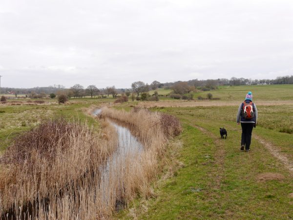 1066 country walk
