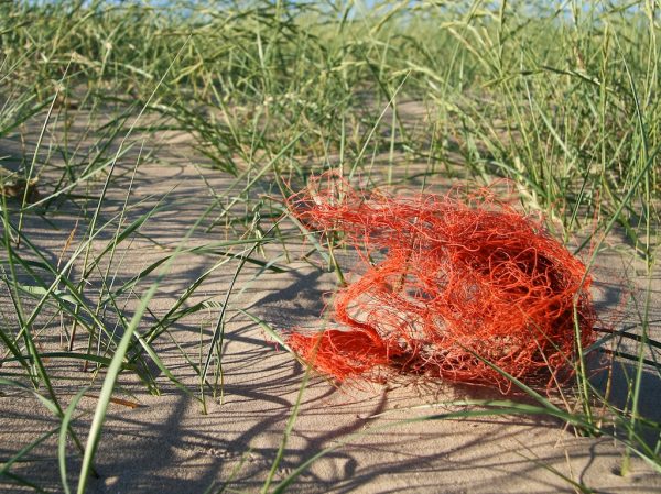 broomhill sands