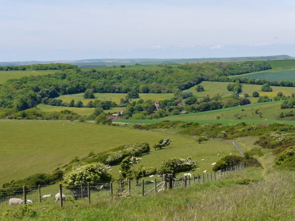 South Downs Way