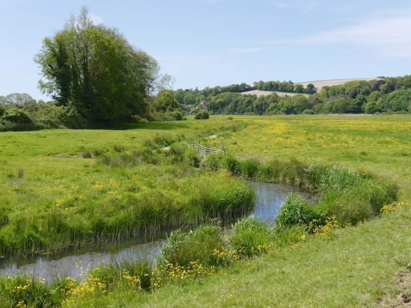 South Downs 2 day walk