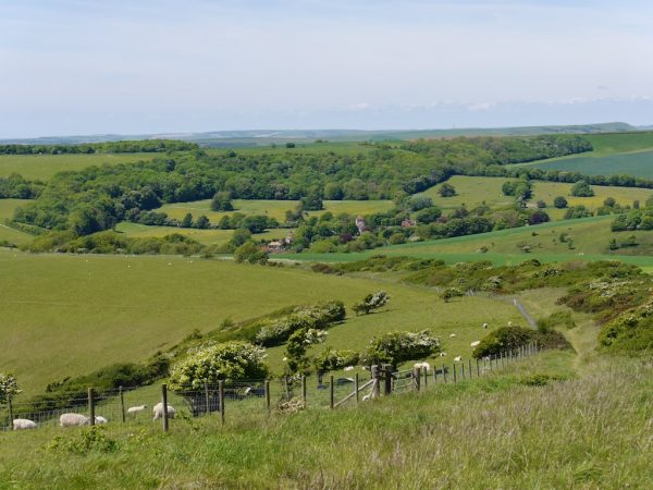 south downs way