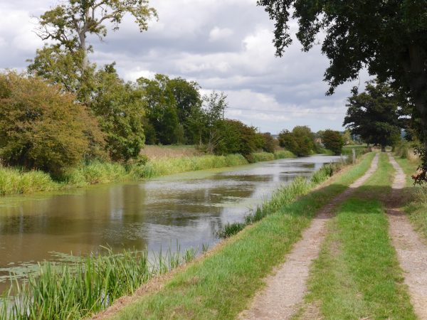 Royal Military Canal 8