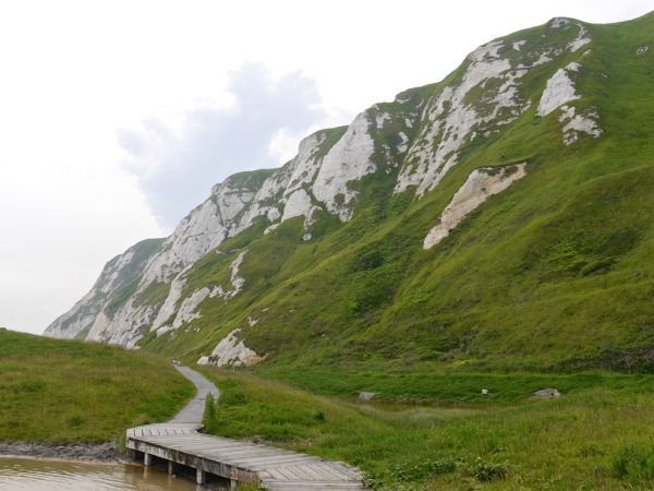 samphire hoe