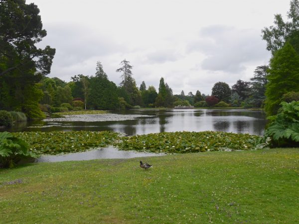 sheffield park gardens
