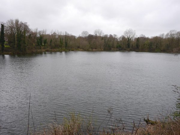 Sevenoaks Wildlife Reserve 2