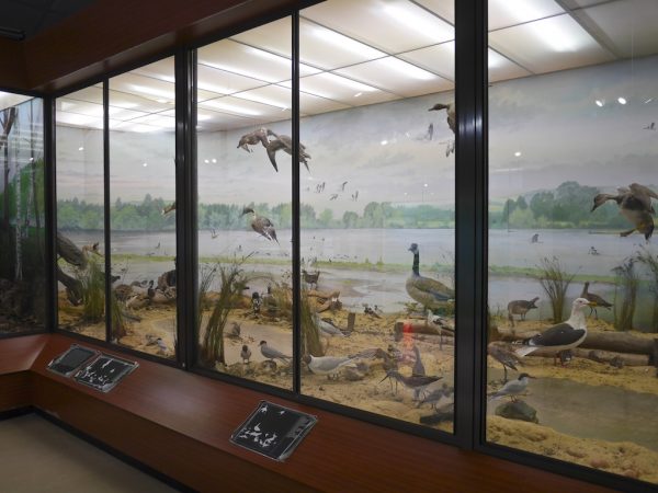 Sevenoaks Wildlife Reserve 3