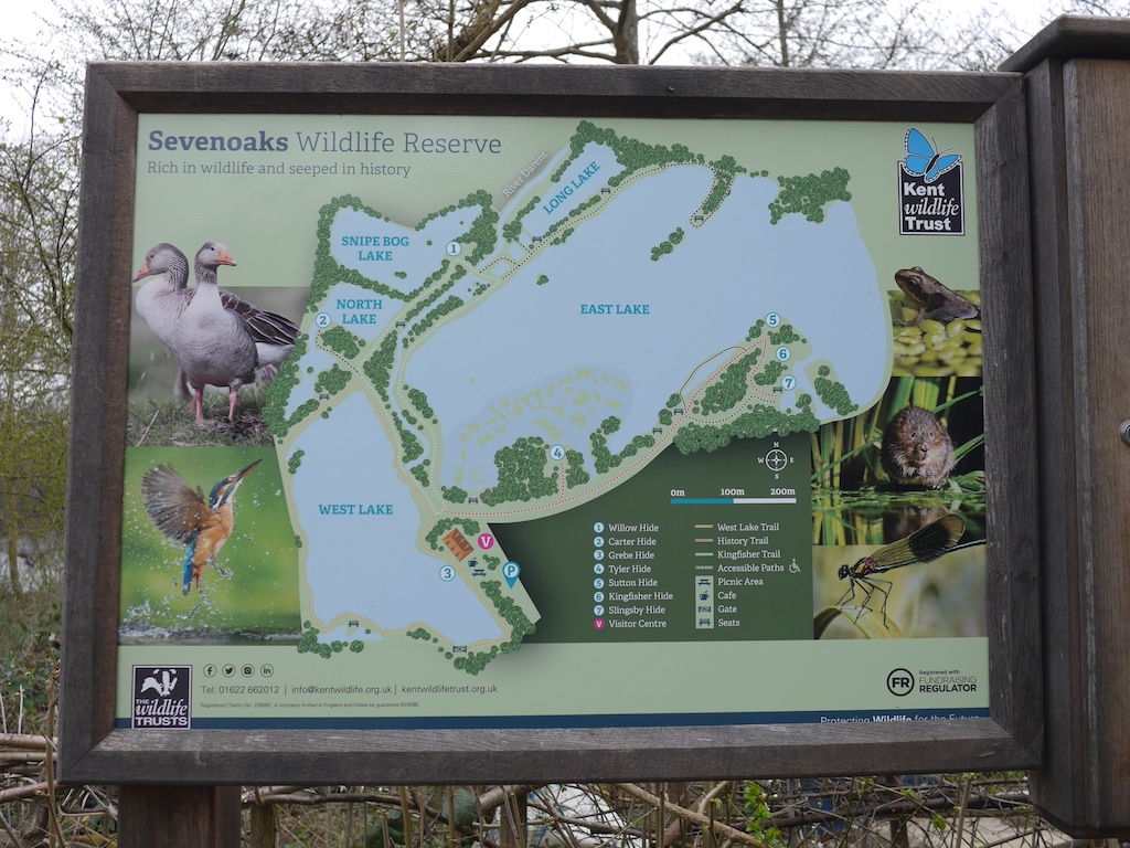 Sevenoaks Wildlife Reserve 4